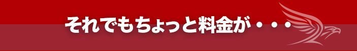 それでもちょっと料金が・・・