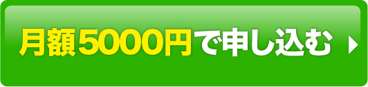 月額5000円で申し混む